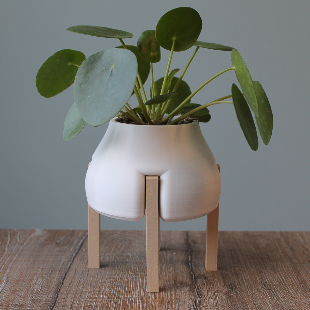 Raised Plant Pot