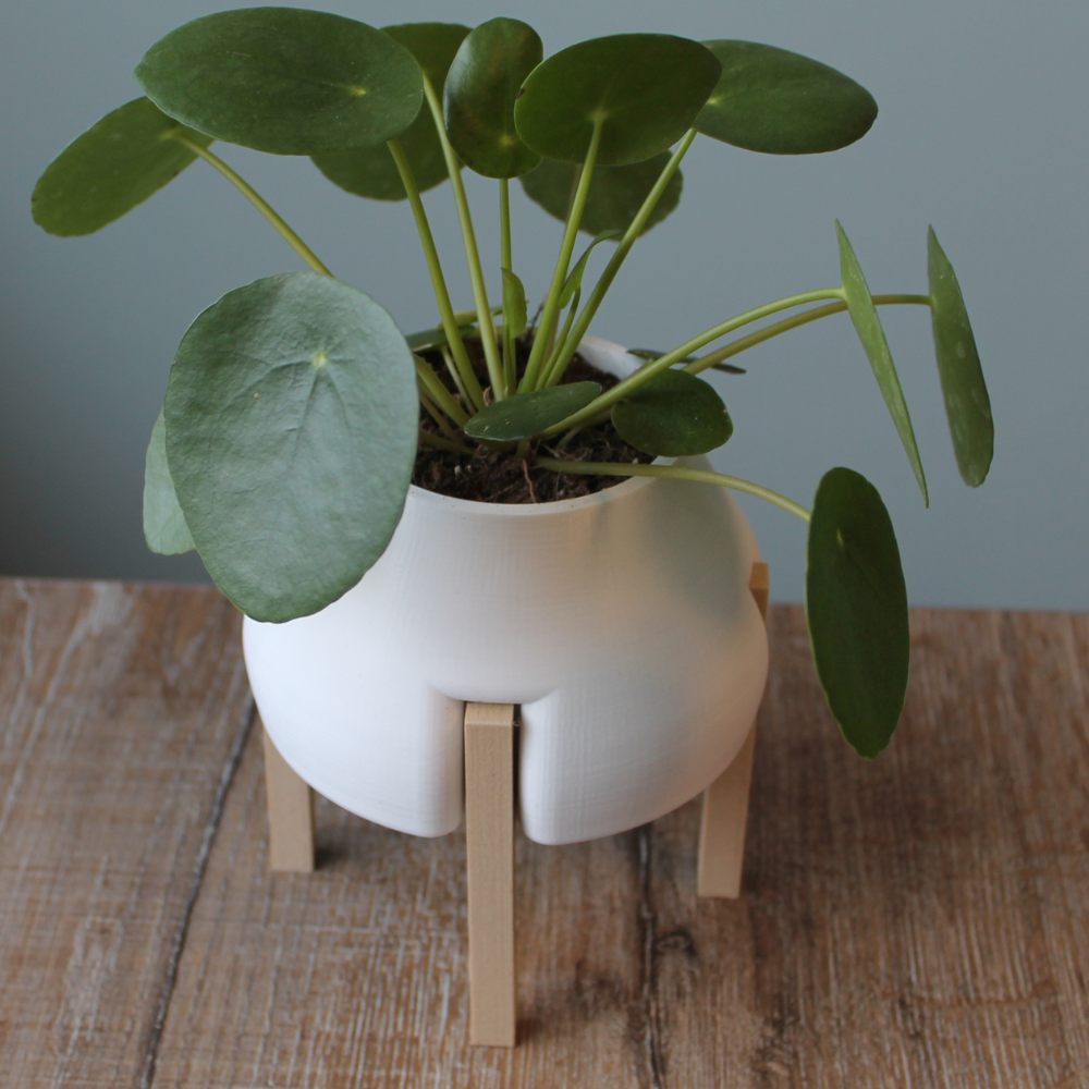 Raised Plant Pot