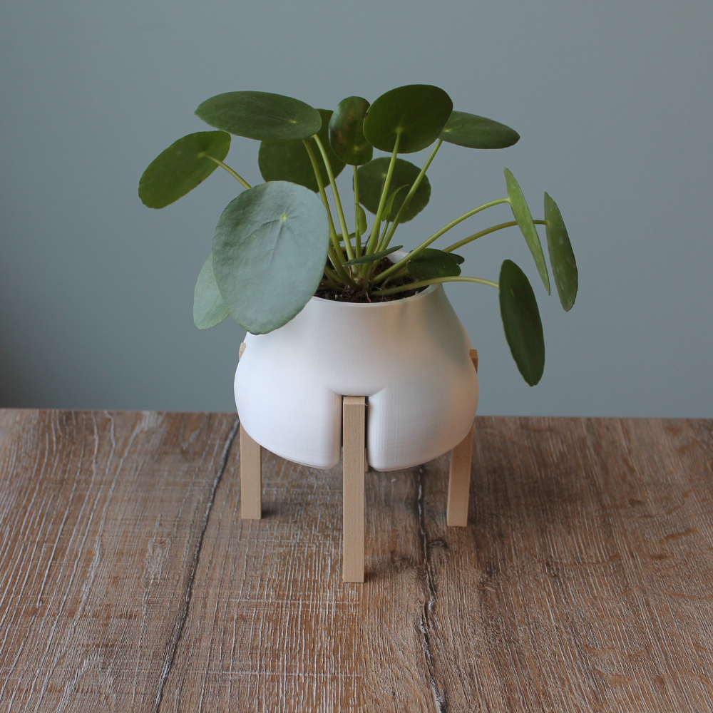 Raised Plant Pot