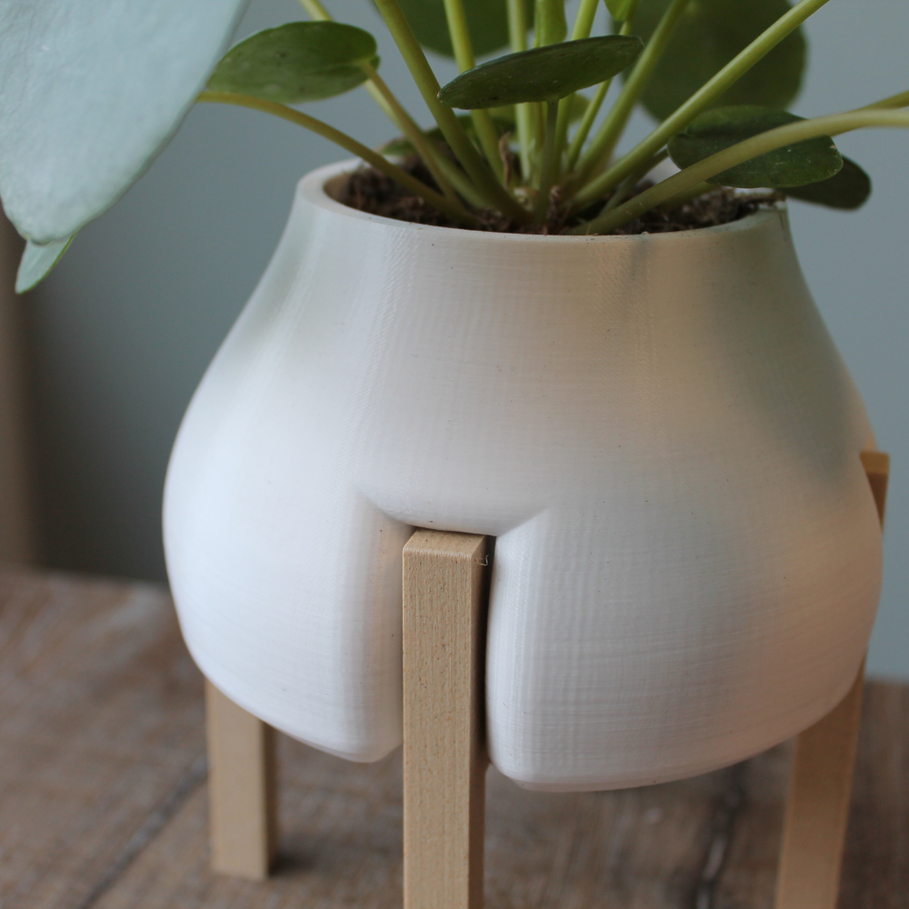 Raised Plant Pot