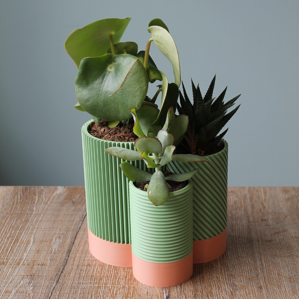 Unique Triple Lettuce Plant or Cactus Pot